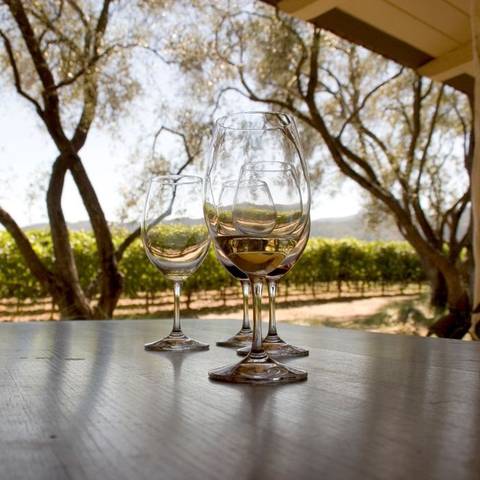 4 Reasons to Book a Winery Tour in Temecula